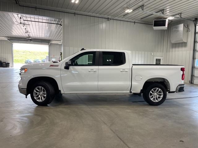 2023 Chevrolet Silverado 1500 Vehicle Photo in GLENWOOD, MN 56334-1123