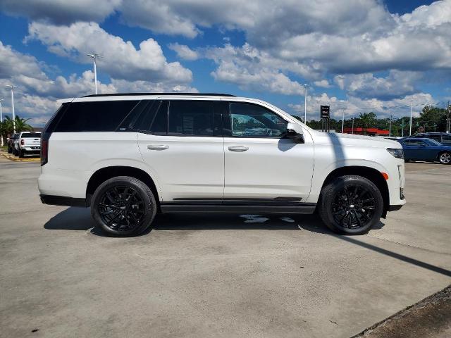 2022 Cadillac Escalade Vehicle Photo in LAFAYETTE, LA 70503-4541