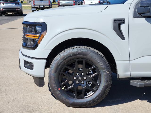 2024 Ford F-150 Vehicle Photo in Pilot Point, TX 76258