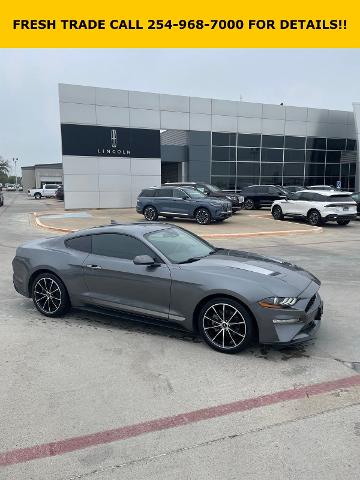 2022 Ford Mustang Vehicle Photo in STEPHENVILLE, TX 76401-3713