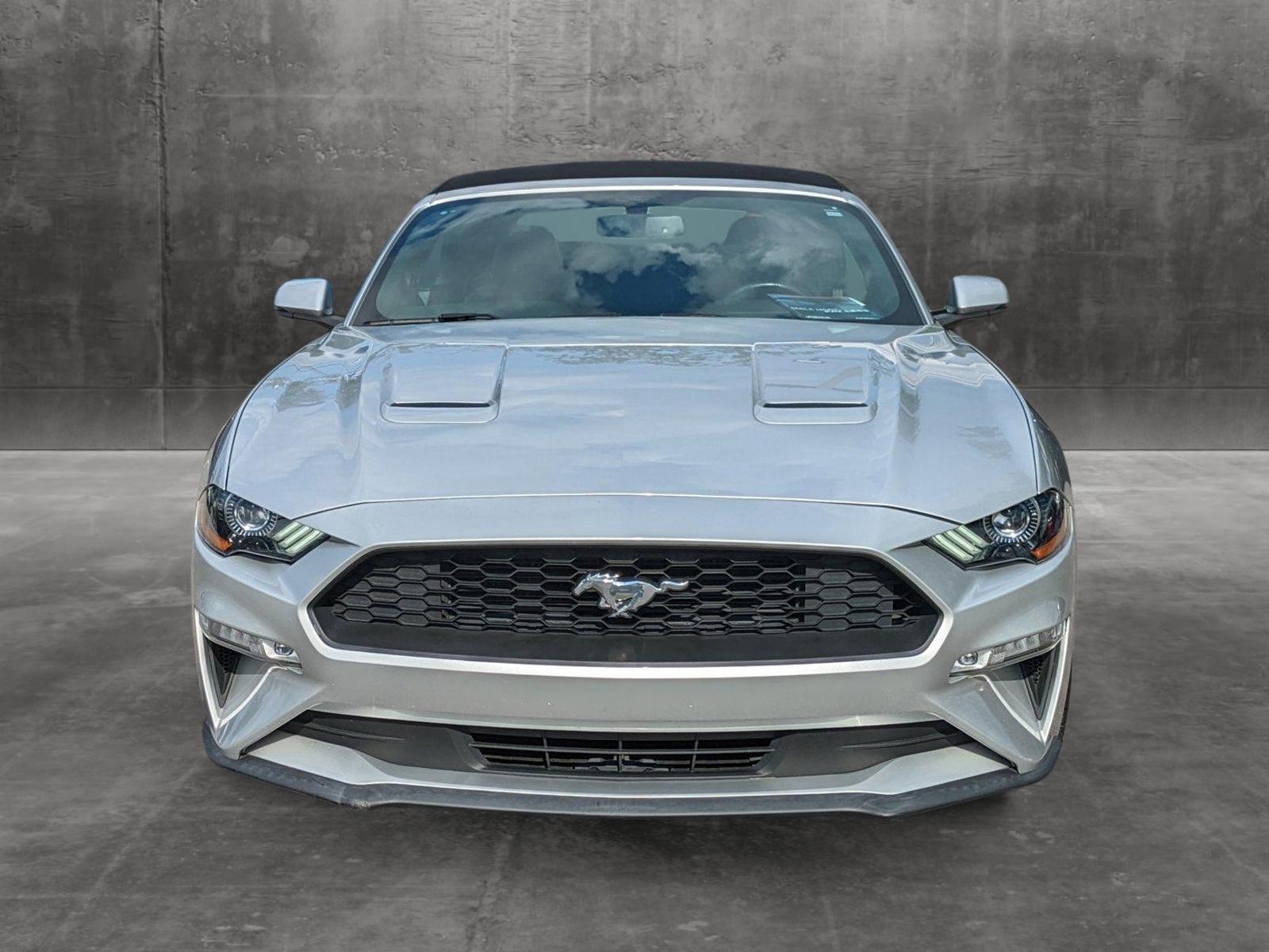 2019 Ford Mustang Vehicle Photo in Jacksonville, FL 32244