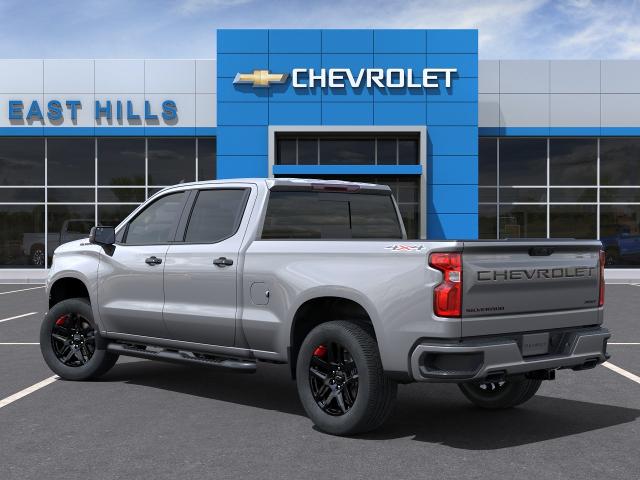 2024 Chevrolet Silverado 1500 Vehicle Photo in FREEPORT, NY 11520-3923