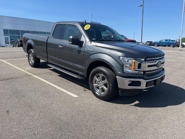 2020 Ford F-150 Vehicle Photo in Jackson, OH 45640-9766