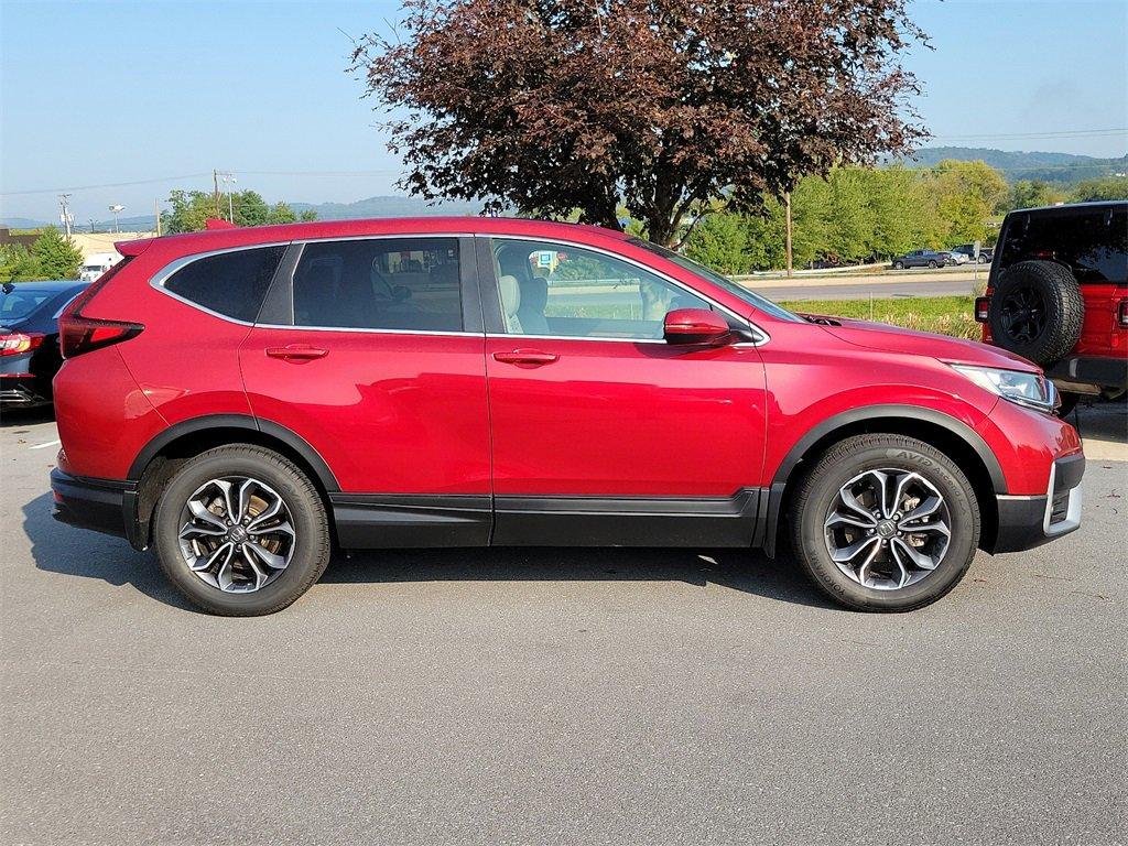 2022 Honda CR-V Vehicle Photo in Muncy, PA 17756