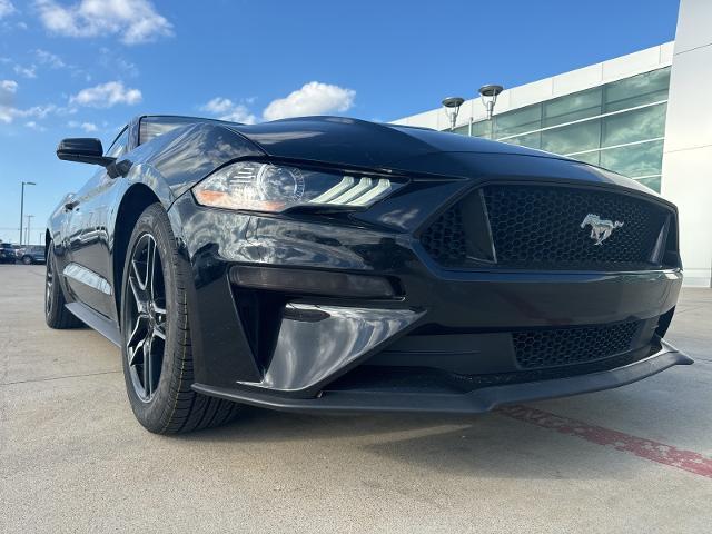 2019 Ford Mustang Vehicle Photo in Terrell, TX 75160