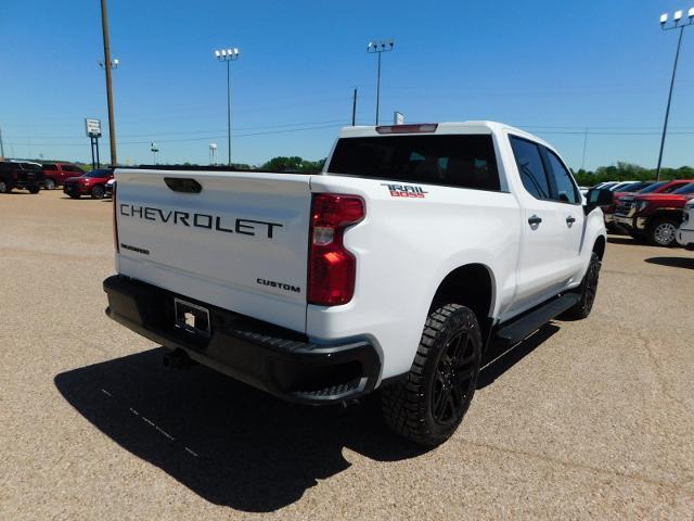 2024 Chevrolet Silverado 1500 Vehicle Photo in GATESVILLE, TX 76528-2745