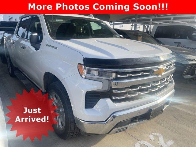 2023 Chevrolet Silverado 1500 Vehicle Photo in SELMA, TX 78154-1460