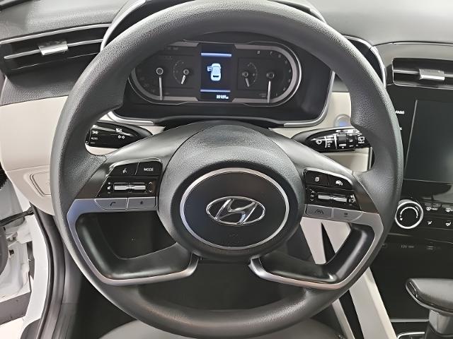 2022 Hyundai TUCSON Vehicle Photo in Oshkosh, WI 54904