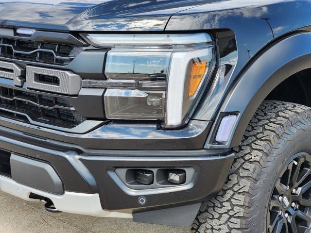 2024 Ford F-150 Vehicle Photo in Pilot Point, TX 76258