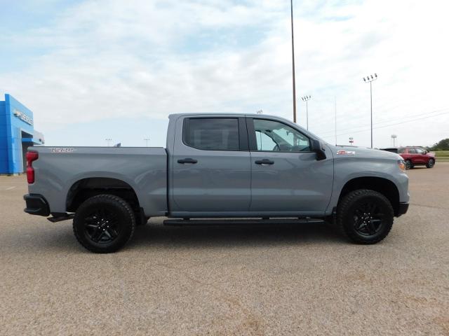 2025 Chevrolet Silverado 1500 Vehicle Photo in Weatherford, TX 76087