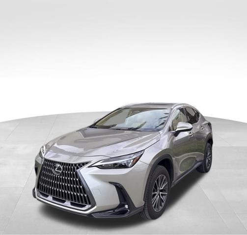 2024 Lexus NX Vehicle Photo in DELRAY BEACH, FL 33483-3294