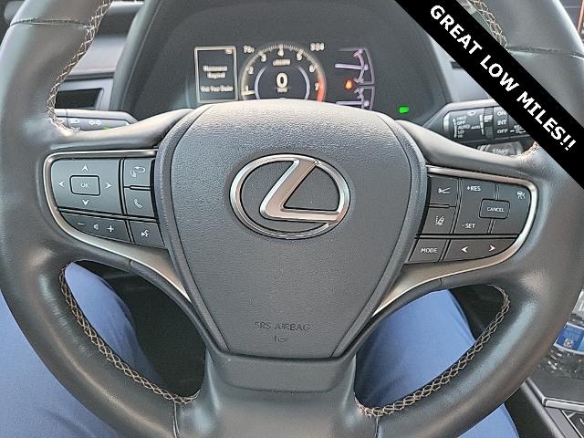 2019 Lexus UX 200 Vehicle Photo in Grapevine, TX 76051