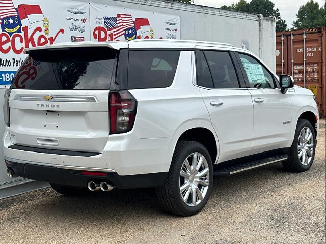 2024 Chevrolet Tahoe Vehicle Photo in DUNN, NC 28334-8900