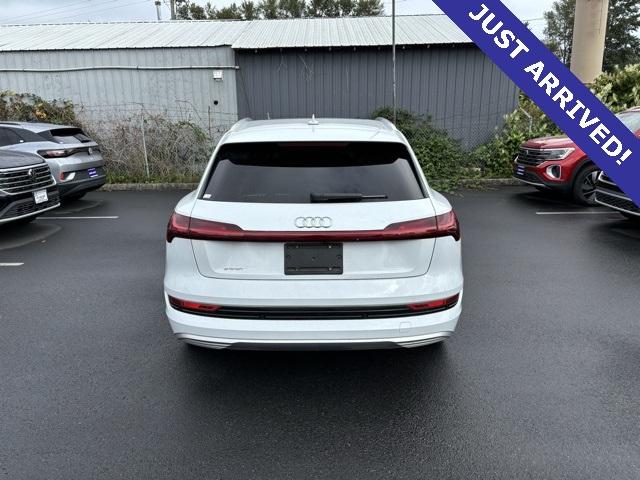 2019 Audi e-tron Vehicle Photo in Puyallup, WA 98371