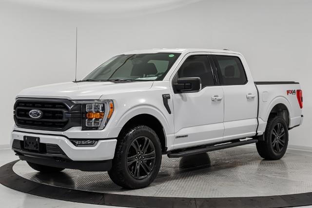 2021 Ford F-150 Vehicle Photo in Akron, OH 44312