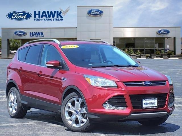 2014 Ford Escape Vehicle Photo in Saint Charles, IL 60174