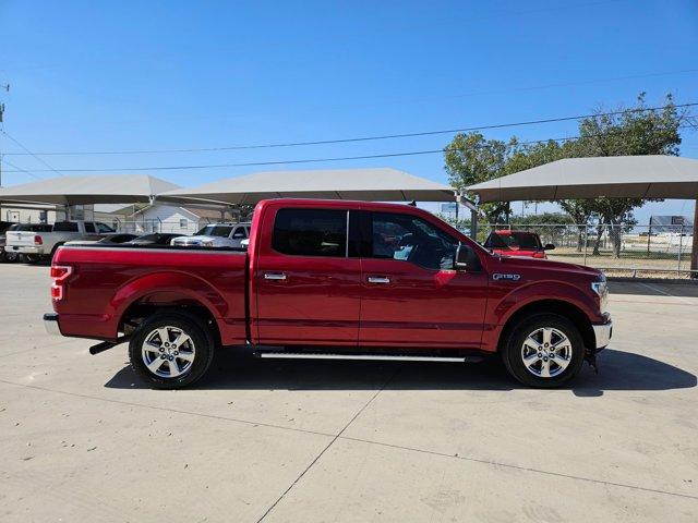 2019 Ford F-150 Vehicle Photo in SELMA, TX 78154-1459