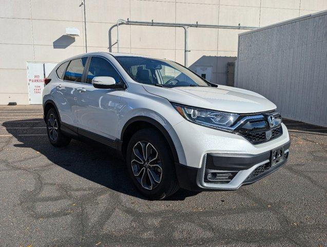 2020 Honda CR-V Vehicle Photo in Greeley, CO 80634-8763