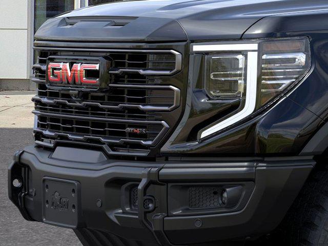 2025 GMC Sierra 1500 Vehicle Photo in DANBURY, CT 06810-5034