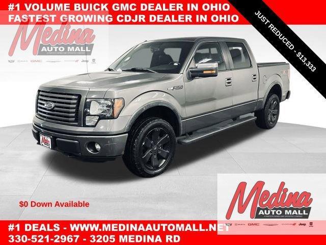 2011 Ford F-150 Vehicle Photo in MEDINA, OH 44256-9631