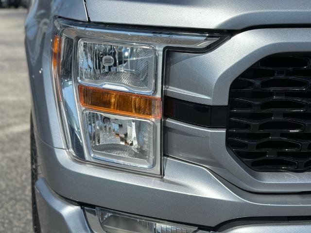 2021 Ford F-150 Vehicle Photo in San Antonio, TX 78230