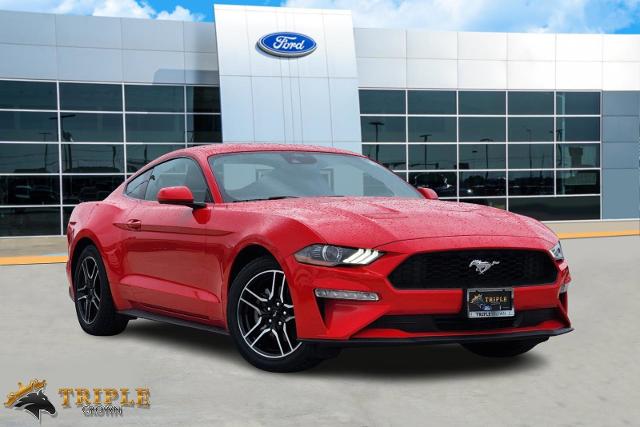 2021 Ford Mustang Vehicle Photo in Stephenville, TX 76401-3713