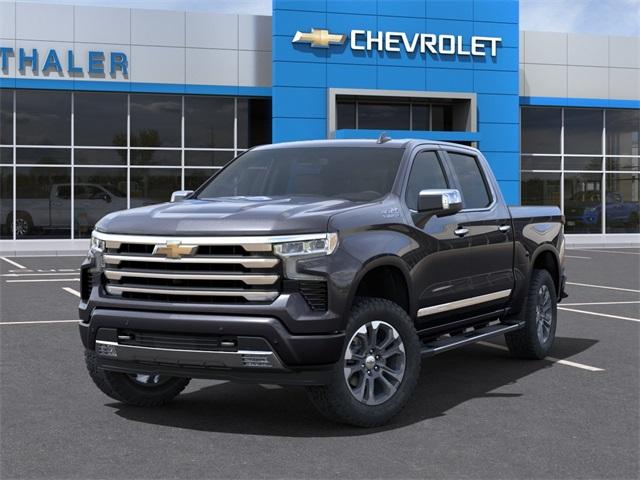 2024 Chevrolet Silverado 1500 Vehicle Photo in GLENWOOD, MN 56334-1123