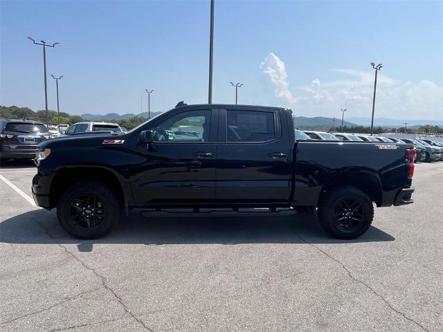 2024 Chevrolet Silverado 1500 Vehicle Photo in ALCOA, TN 37701-3235