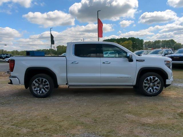 2025 GMC Sierra 1500 Vehicle Photo in ALBERTVILLE, AL 35950-0246