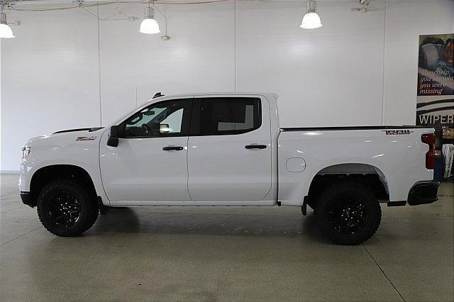 2025 Chevrolet Silverado 1500 Vehicle Photo in MEDINA, OH 44256-9001