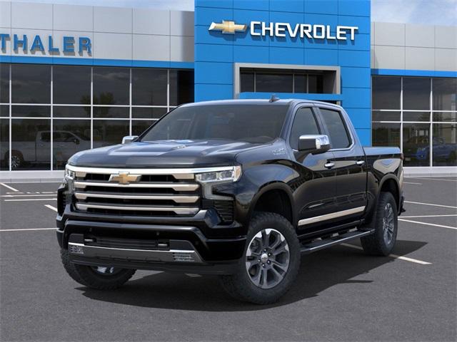 2025 Chevrolet Silverado 1500 Vehicle Photo in GLENWOOD, MN 56334-1123