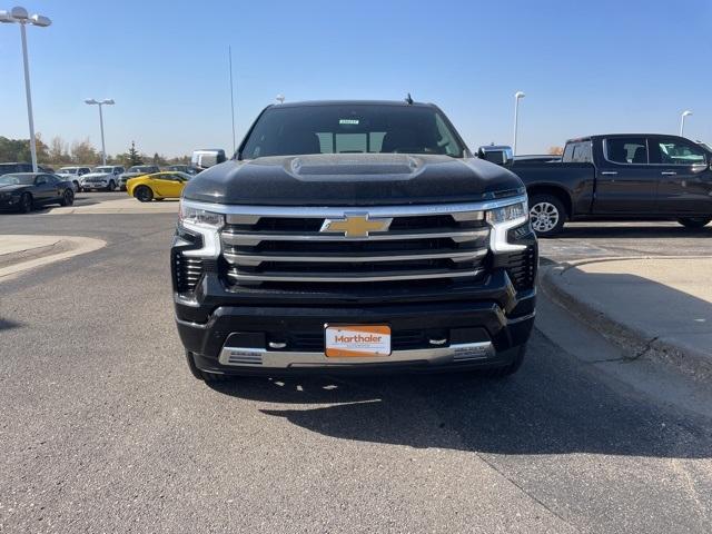 2025 Chevrolet Silverado 1500 Vehicle Photo in GLENWOOD, MN 56334-1123