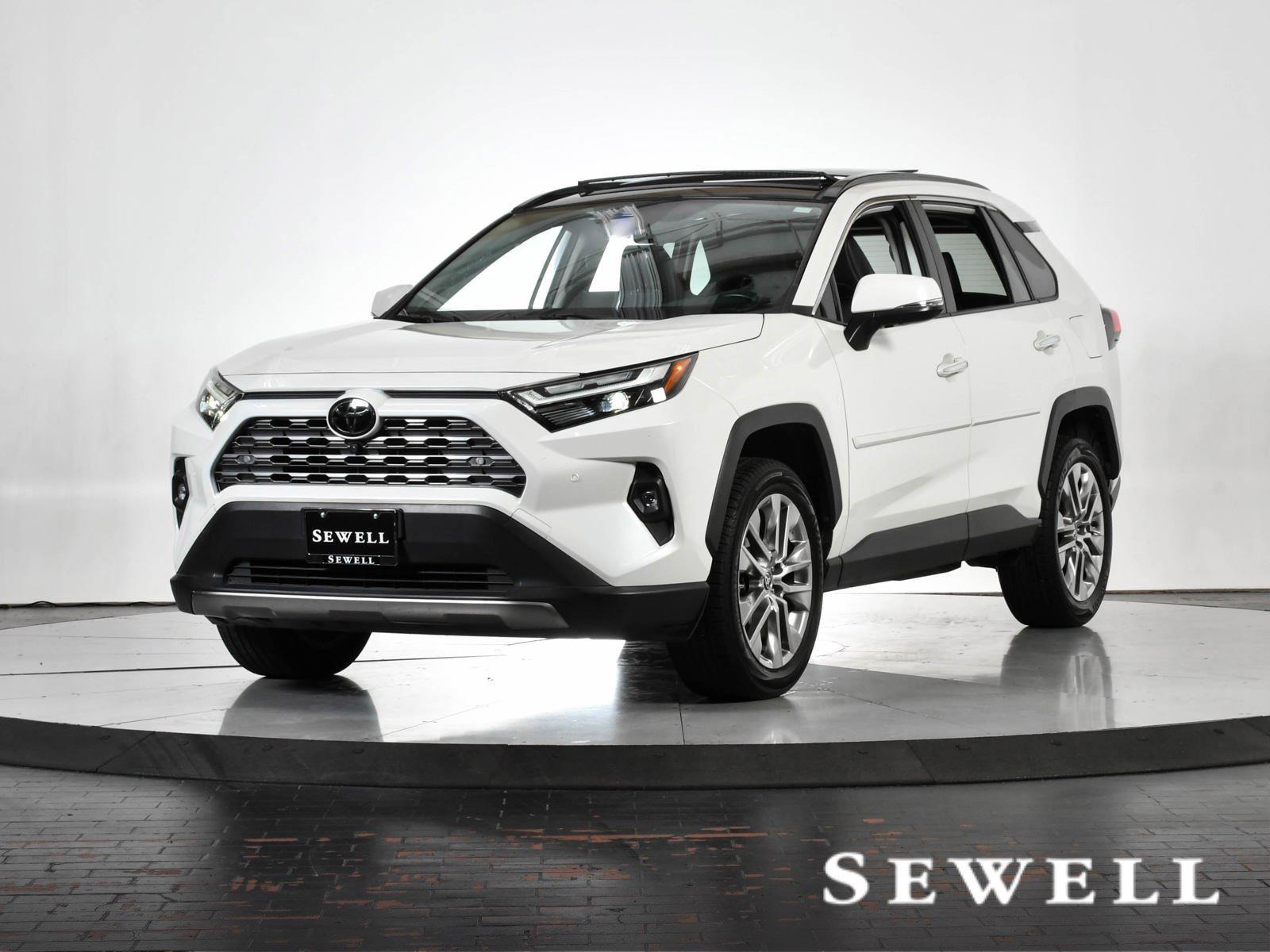 2022 Toyota RAV4 Vehicle Photo in DALLAS, TX 75235