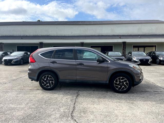 2016 Honda CR-V Vehicle Photo in Savannah, GA 31419