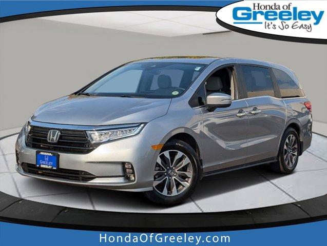 2023 Honda Odyssey Vehicle Photo in Greeley, CO 80634-8763