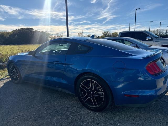 2021 Ford Mustang Vehicle Photo in Pilot Point, TX 76258