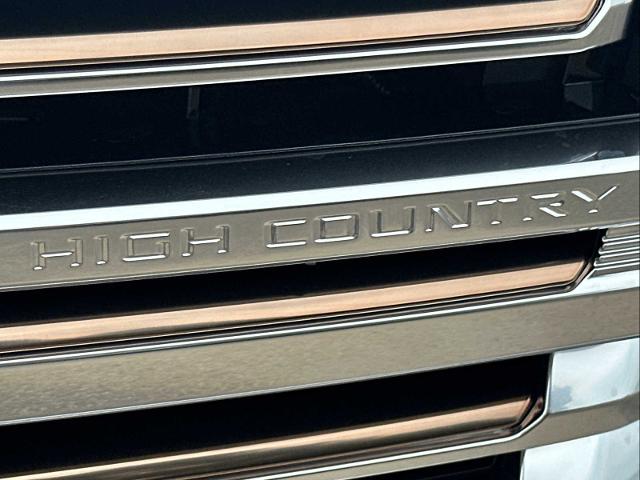 2024 Chevrolet Tahoe Vehicle Photo in DUNN, NC 28334-8900