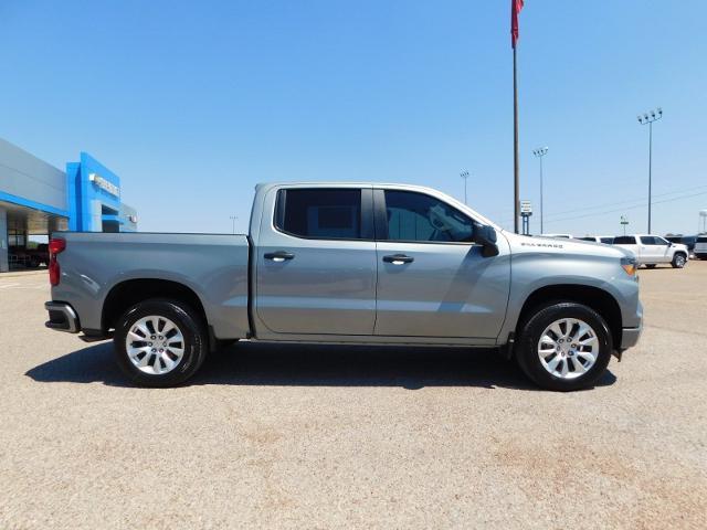 2024 Chevrolet Silverado 1500 Vehicle Photo in GATESVILLE, TX 76528-2745