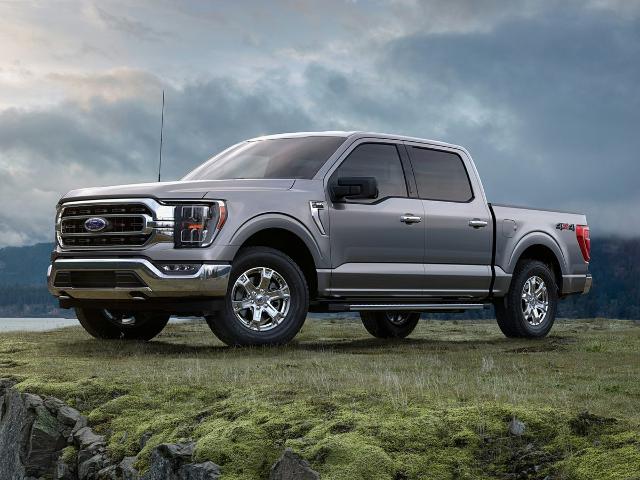 2021 Ford F-150 Vehicle Photo in Terrell, TX 75160