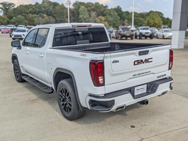 2024 GMC Sierra 1500 Vehicle Photo in POMEROY, OH 45769-1023