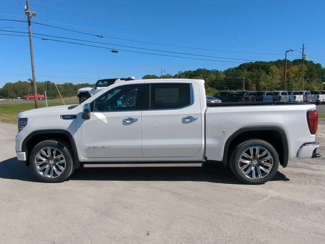 2025 GMC Sierra 1500 Vehicle Photo in ALBERTVILLE, AL 35950-0246