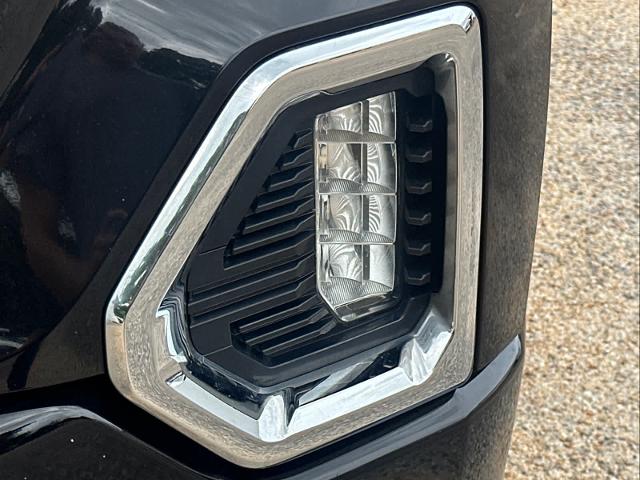 2019 GMC Sierra 1500 Vehicle Photo in DUNN, NC 28334-8900