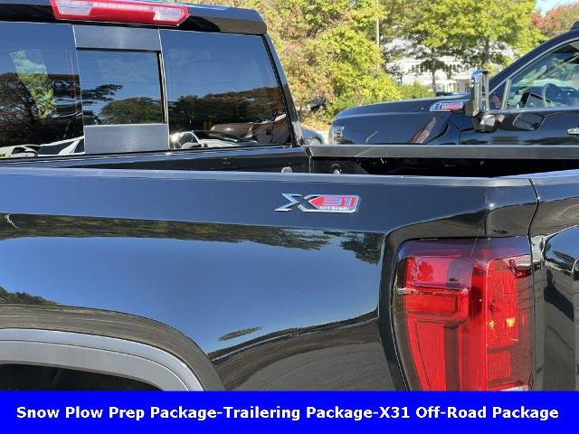 2025 GMC Sierra 1500 Vehicle Photo in CHICOPEE, MA 01020-5001