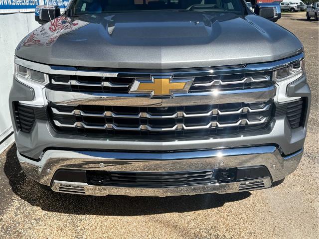 2024 Chevrolet Silverado 1500 Vehicle Photo in DUNN, NC 28334-8900