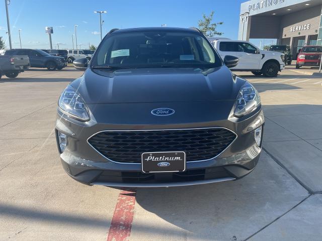 2020 Ford Escape Vehicle Photo in Terrell, TX 75160