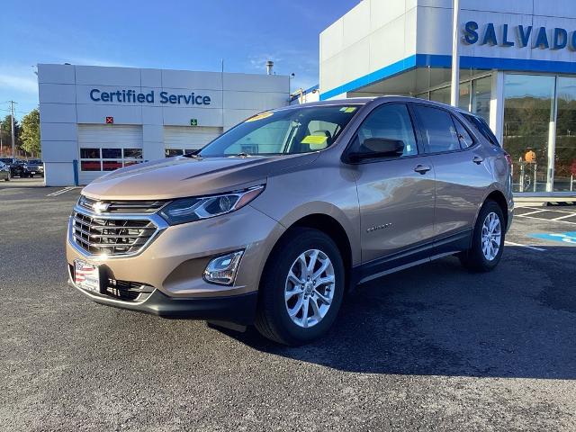 2019 Chevrolet Equinox Vehicle Photo in GARDNER, MA 01440-3110