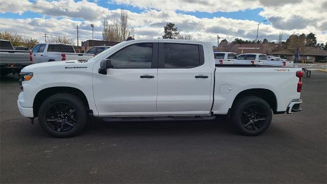 2025 Chevrolet Silverado 1500 Vehicle Photo in FLAGSTAFF, AZ 86001-6214