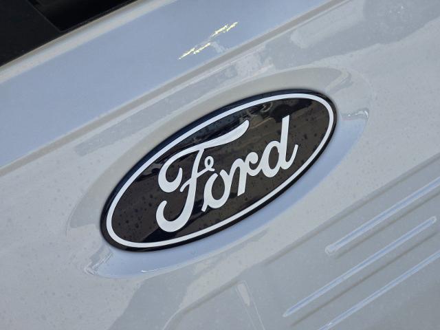 2024 Ford F-150 Vehicle Photo in STEPHENVILLE, TX 76401-3713