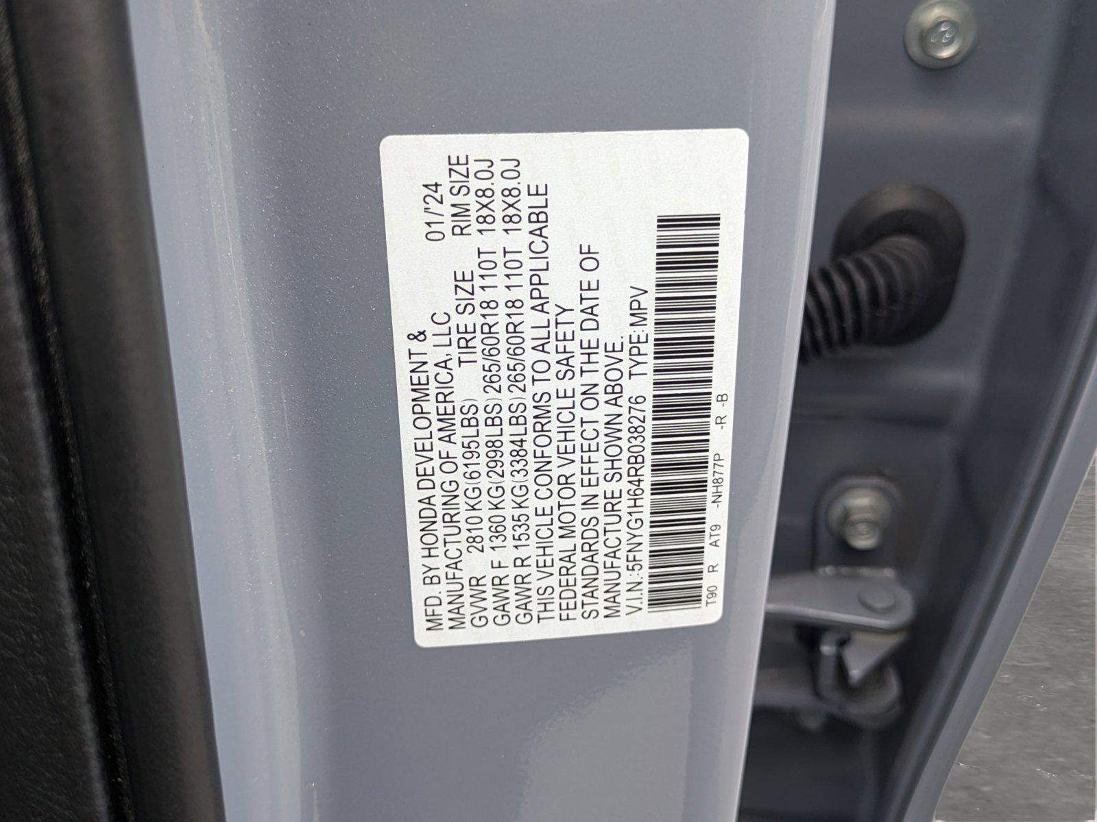 2024 Honda Pilot Vehicle Photo in Clearwater, FL 33761