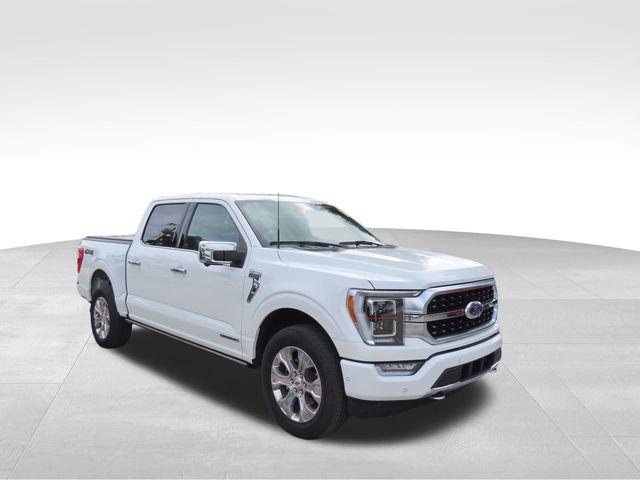 2023 Ford F-150 Vehicle Photo in DELRAY BEACH, FL 33483-3294